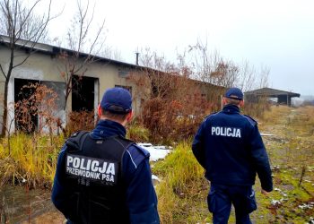 Policja apeluje – Nie bądź obojętny!