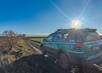 Odbyli swoje kary i musieli opuścić Polskę