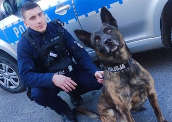 Atom doprowadził do sprawcy przywłaszczenia samochodu