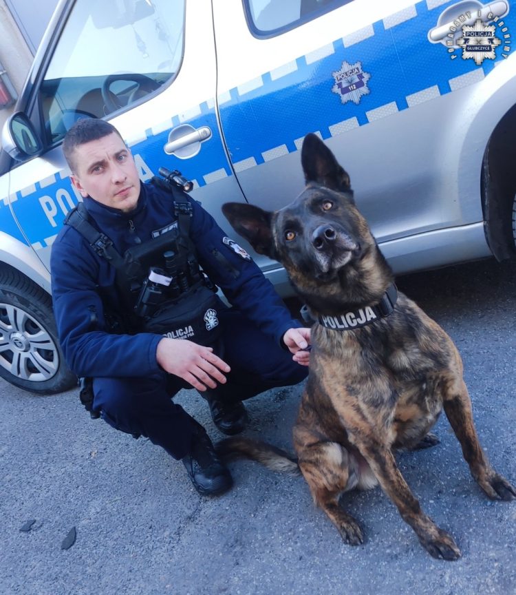 Atom doprowadził do sprawcy przywłaszczenia samochodu