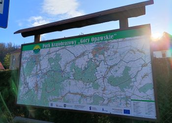 Wybierasz się w Góry Opawskie – nadleśnictwo zamknęło żółty szlak