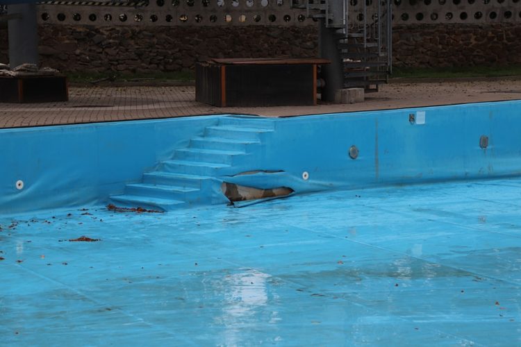 Basen na przy Zwycięstwa zamknięty na wakacje. Co z Sójką?