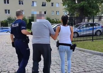 Uśmiercił szczeniaki i wyrzucił je do kontenera