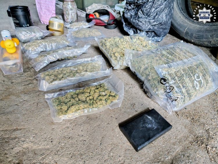 Rozbili grupę dilerów na pograniczu