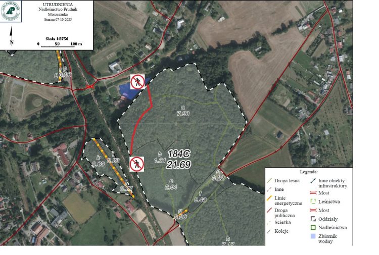 Kolejny szlak czasowo zamknięty – trzeba usunąć drzewa stwarzające zagrożenie