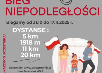 Plakat Wirtualny Bieg Niepodległości